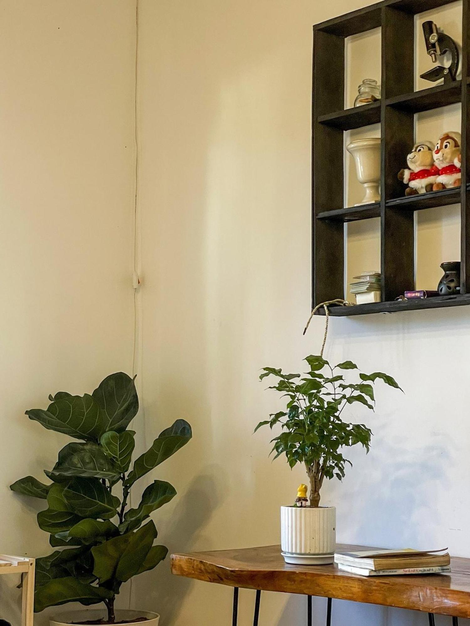Hat De Homestay Dalat Bagian luar foto