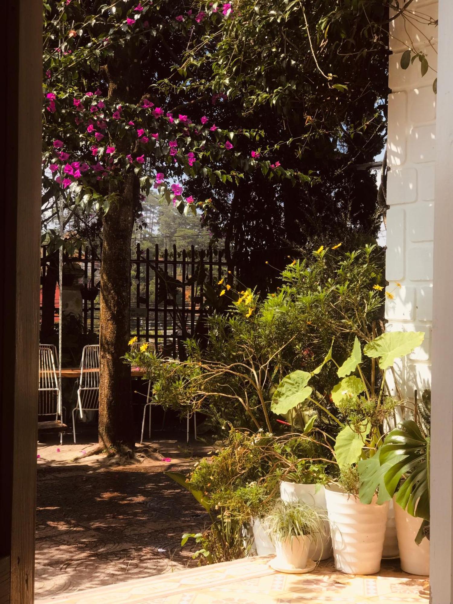 Hat De Homestay Dalat Bagian luar foto